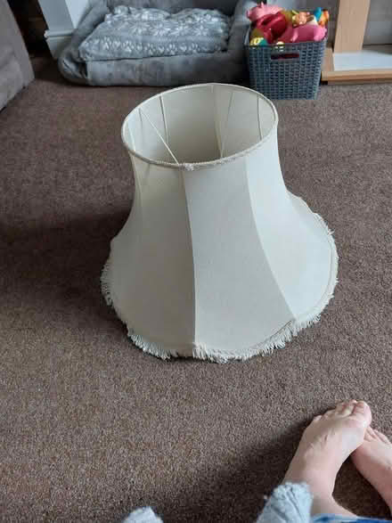 Photo of free Standard light shade (NG16) #1