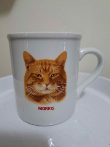 Photo of free Unused Vintage Morris the Cat Mug (Watertown Square) #1
