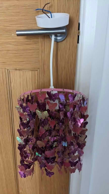 Photo of free Ceiling pendant with butterfly shade (Fleetville AL1) #1