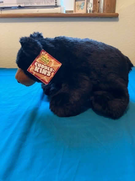 Photo of free Stuffed teddy black bear (NN14) #1
