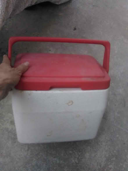 Photo of free Small Coleman cooler (Burbank (near IKEA)) #1