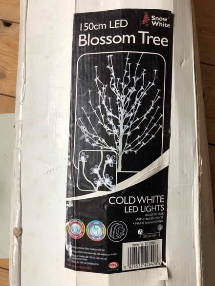 Photo of free LED blossom tree (Walkley, S6) #1