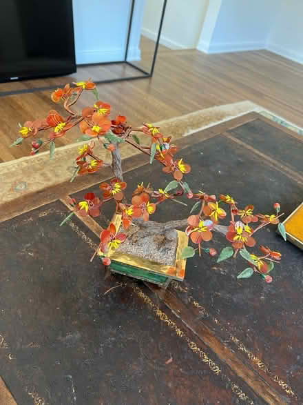 Photo of free Floral Bonsai Tree (Beachwood Canyon) #1