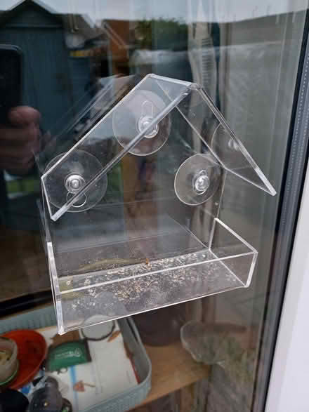 Photo of free Window Bird Feeder (NG18 off Sutton Road) #1