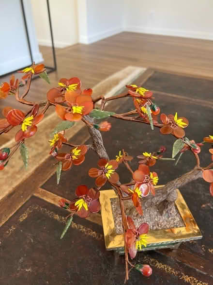Photo of free Floral Bonsai Tree (Beachwood Canyon) #2