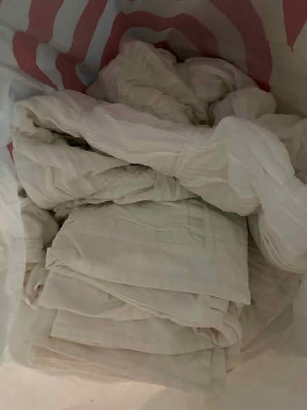 Photo of free Shams (Sarasota) #1
