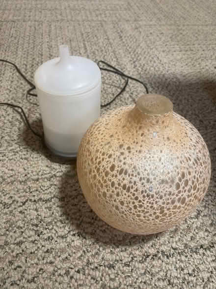 Photo of free Diffuser (Near West) #2