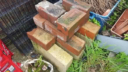 Photo of free Bricks and breeze blocks (S8) #1
