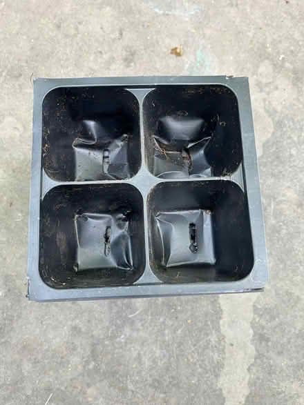 Photo of free stack of plant 4 pack seedling pots (near The Commons) #2
