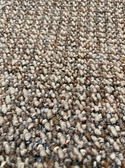 Photo of free Carpet Offcut - unused (Glenageary) #2