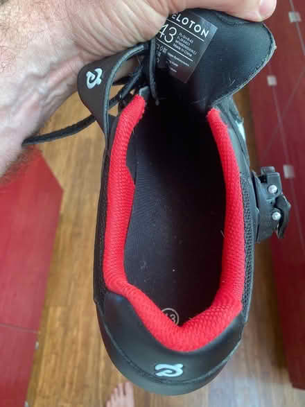 Photo of free Bike shoes (size 43) (Rockridge/temescal) #4