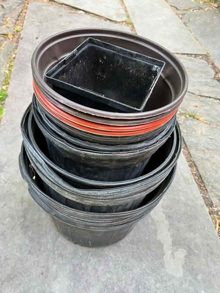 Photo of free mixed size’s nursery pots (near The Commons) #1