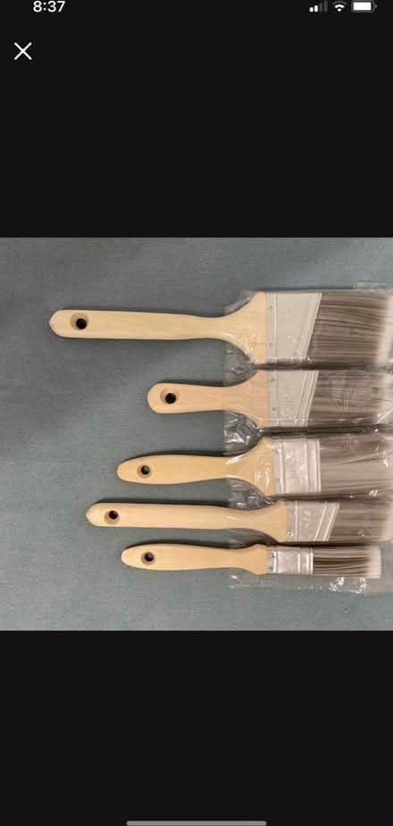 Photo of free Paint brushes (Agave) #1