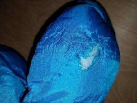Photo of free Cookie Monster soft toy (Gloucester) #3