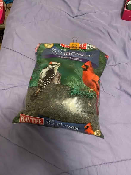 Photo of free Bird seed (Kendall Sq) #1