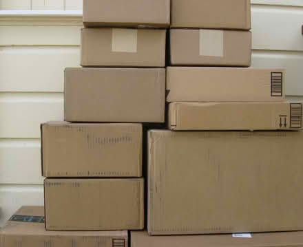 Photo of free Boxes (Saugerties) #1