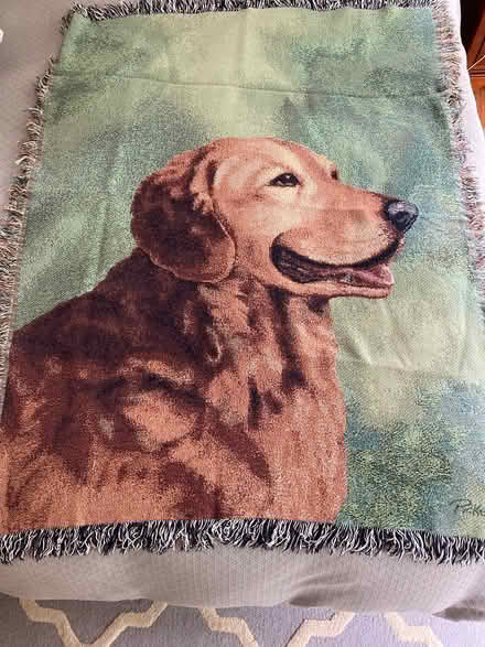 Photo of free Blanket (Decatur) #1