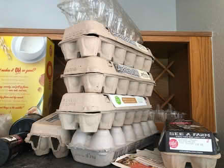 Photo of free Egg cartons (SE Denver) #1
