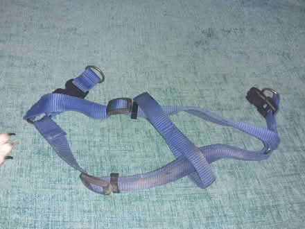 Photo of free Dog Harness (Brandwood End B14) #1