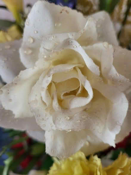 Photo of free Artificial Flower Arrangement (Hove, BN3) #3
