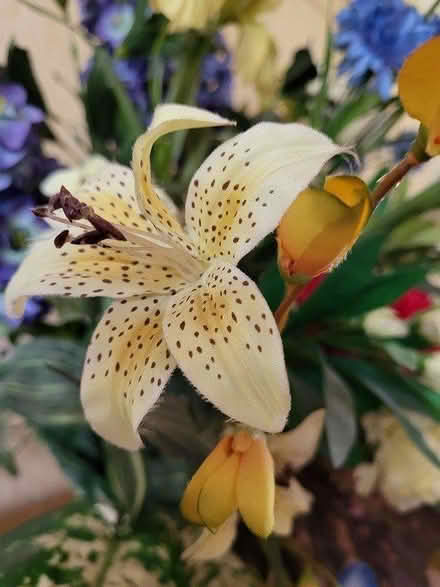 Photo of free Artificial Flower Arrangement (Hove, BN3) #4