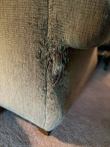 Photo of free Love seat and chair (Off of quince orchard road) #4