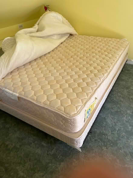 Photo of free Double mattress, box spring & frame (Avon) #2
