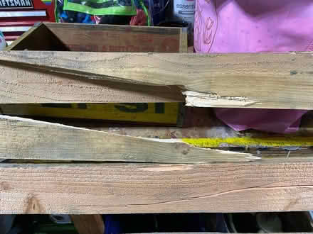 Photo of free Extra Large Wooden Pallet (Gladstone / Northland) #1
