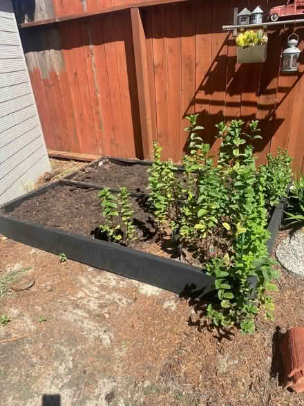 Photo of free Full bed frame/garden bed (Bancroft Ave near Lee Ave) #2