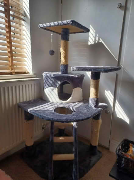 Photo of free Cat tree (Pittville GL50) #1