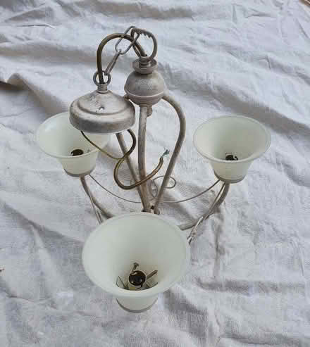 Photo of free Ceiling light (Colehill BH21) #1