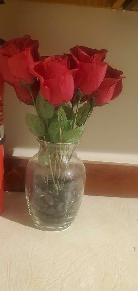 Photo of free Fake roses (Downers Grove) #1