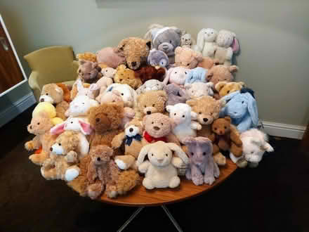 Photo of Teddy bears (Letchworth SG6) #1