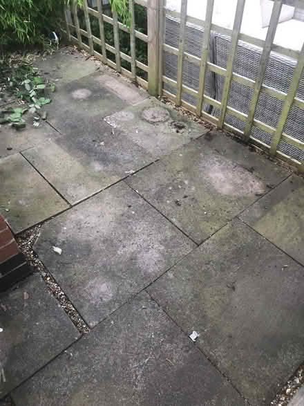 Photo of free Concrete slabs (Northfield B31) #2
