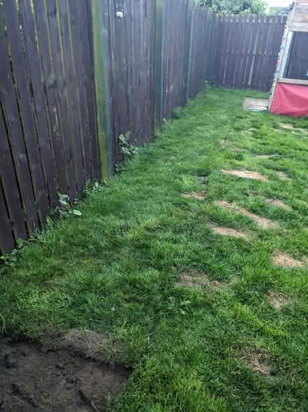Photo of free Turf (Tranent EH33) #1