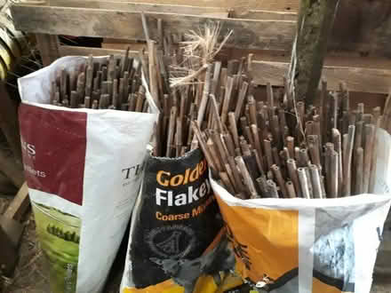 Photo of free Sacks of broken bamboo canes (Potterton LS14) #1
