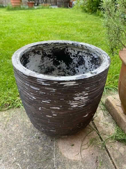 Photo of free Plant pot (Oakwood derby) #1
