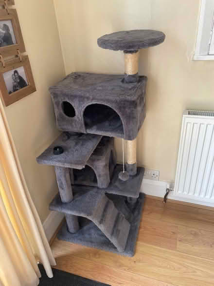 Photo of free Cat tree (Westcliff-on-sea SS0) #1