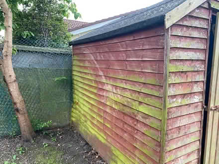Photo of free Garden shed for reuse or firewood (Blackrock) #1