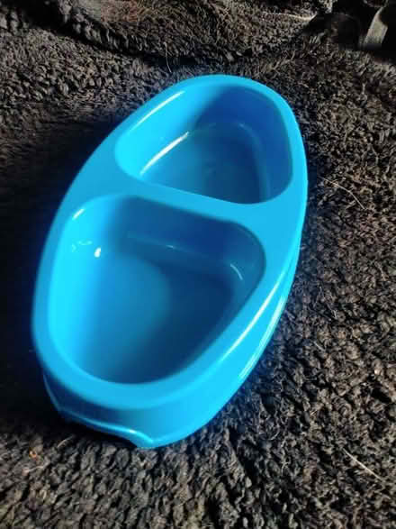 Photo of free Pet food bowl (Clayton Brook PR5) #1