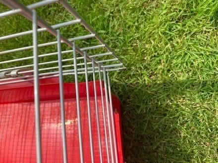Photo of free Guinea pig cage (woking) #2