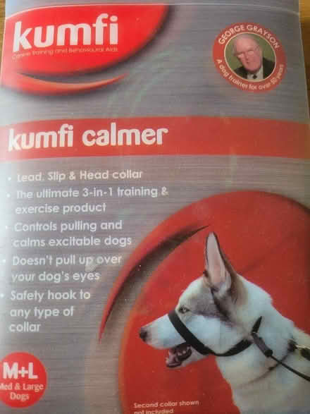 Photo of free Dog Lead/Collar (Drum Brae EH4) #1