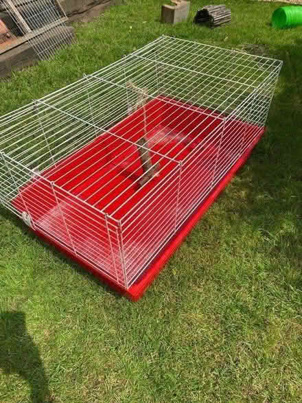 Photo of free Guinea pig cage (woking) #3