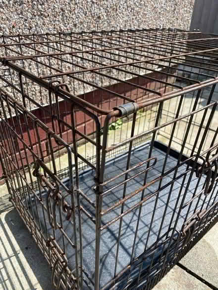 Photo of free Dog cage medium (L27) #2