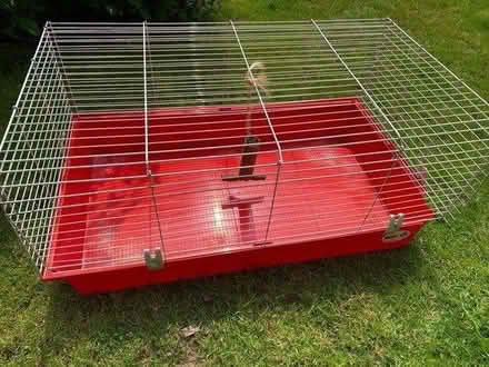 Photo of free Guinea pig cage (woking) #1