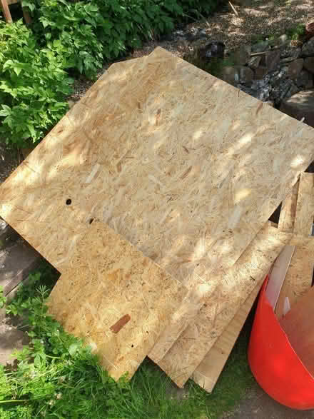Photo of free OSB sheets + offcuts (Penrith CA11) #1