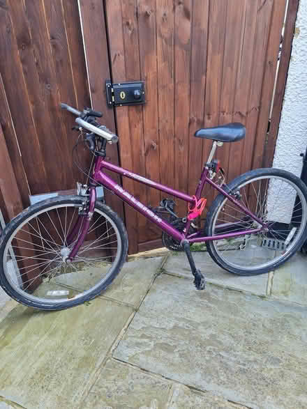 Photo of free Raleigh Adult Off Road Bike (Mill Hill NW7) #1