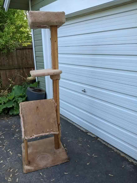 Photo of free Cat tree scratching post (Lombard) #1