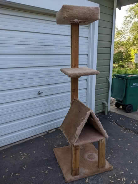 Photo of free Cat tree scratching post (Lombard) #2
