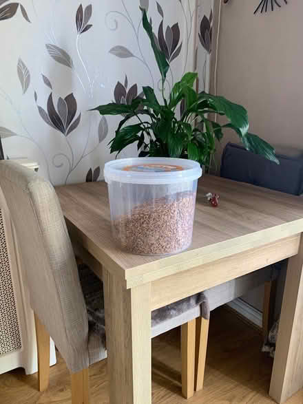 Photo of free Fish and turtle / terrapin food (Manchester M8) #1